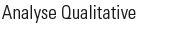 Analyse Qualitative